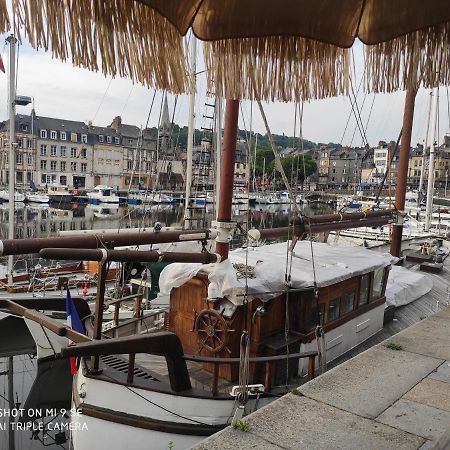 Proche Honfleur Gite Avec Piscine Équemauville Kültér fotó