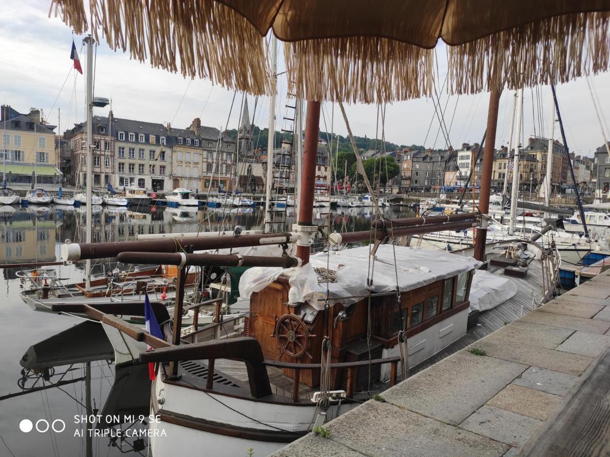 Proche Honfleur Gite Avec Piscine Équemauville Kültér fotó
